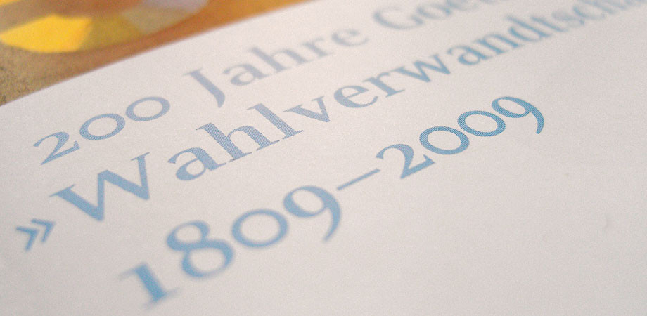 Flyer Wahlverwandtschaften – Detail