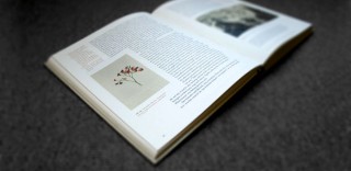 Katalog Olbricht & Behmer