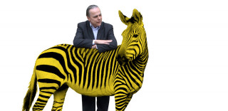 Der Kapitän und das Zebra